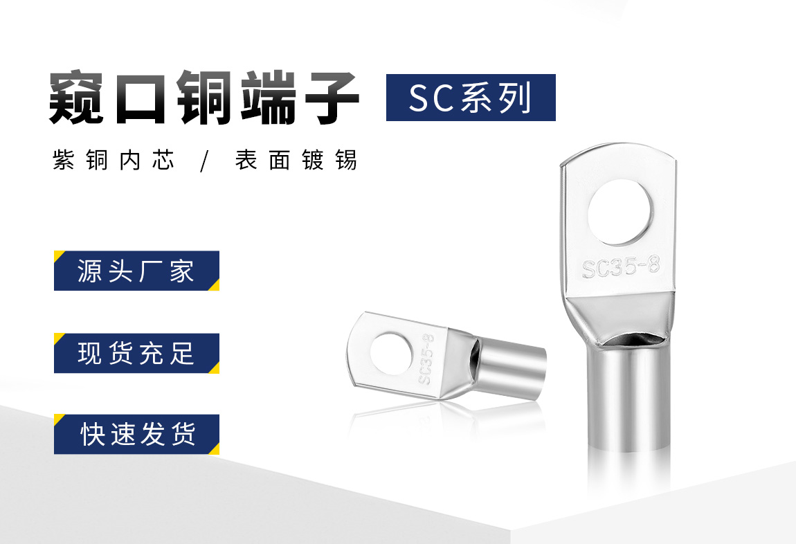 SC窥口端子_02.jpg