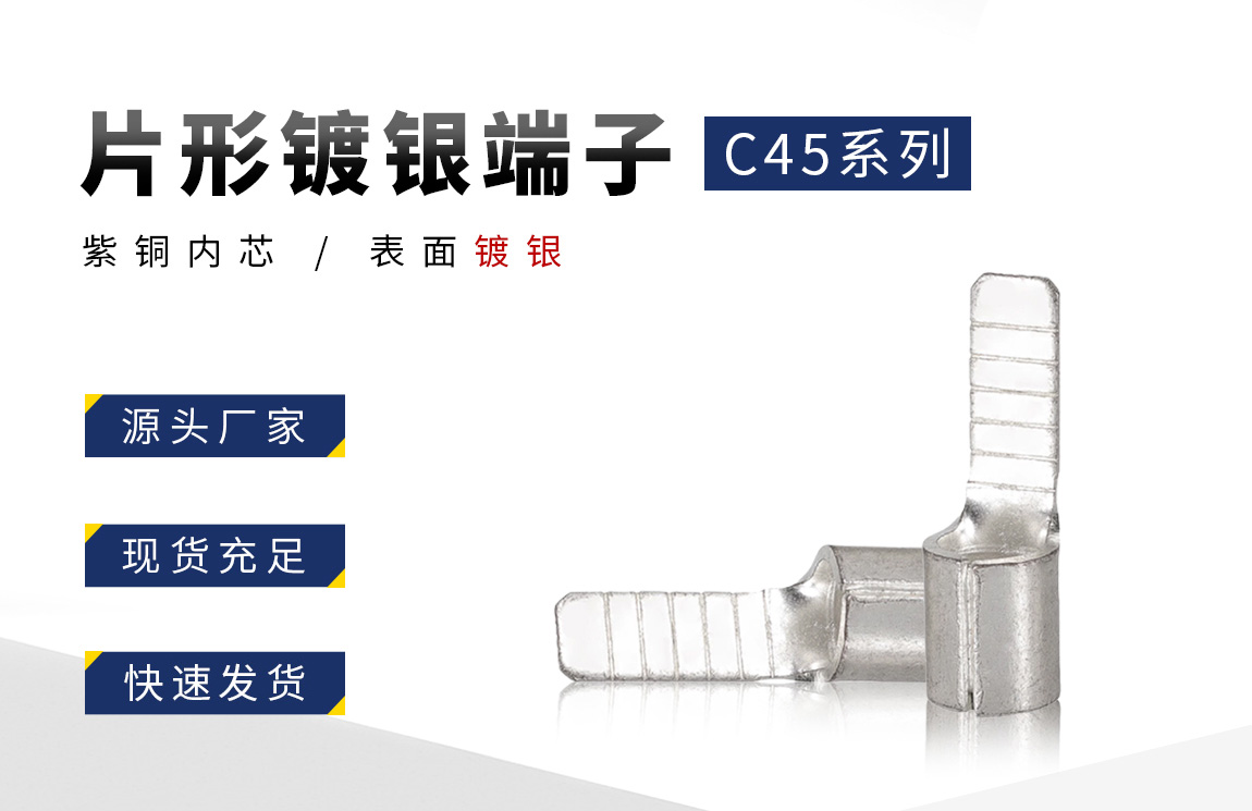C45片形镀银_02.jpg